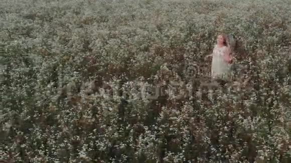 一个美丽的女孩留着长发跑在田野里开着田野的花视频的预览图