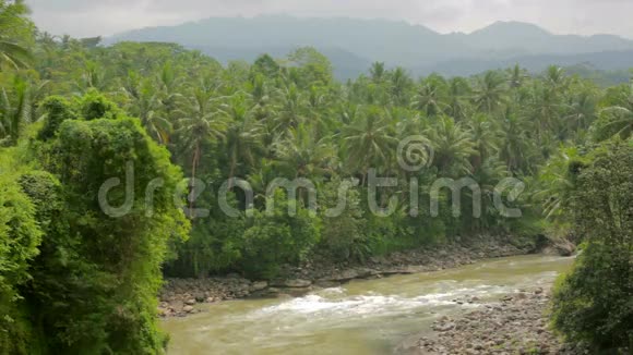 印度尼西亚有棕榈树和河流的异国丛林视频的预览图