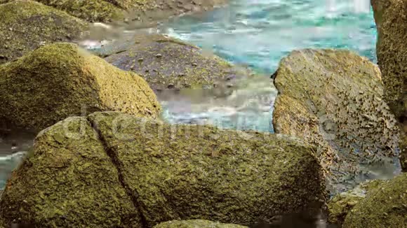 热带海洋海岸有大石头视频的预览图