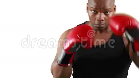 戴着手套摆姿势的严肃肌肉拳击手视频的预览图