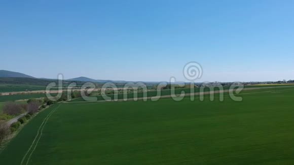 用绿芽对场地进行空中勘测来自航空摄影的冬麦田无边无际的绿色田野视频的预览图