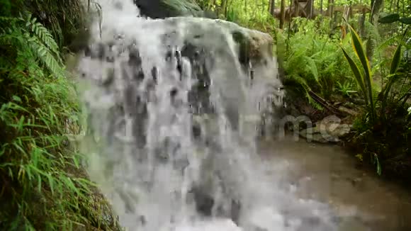 小热带丛林瀑布爪哇印度尼西亚视频的预览图