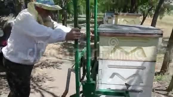 养蜂工作蜜蜂在蜂巢上用甜蜜蜂蜜是蜜蜂保持健康的产品收集的蜂蜜视频的预览图