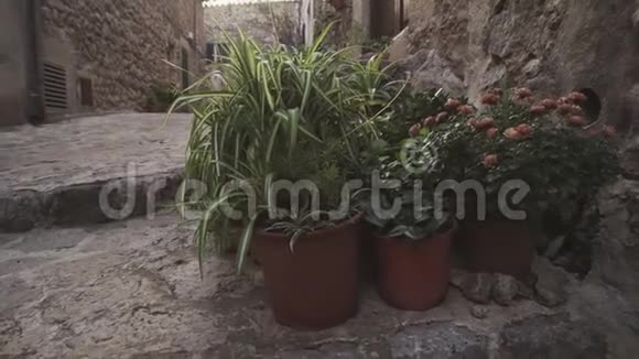 瓦尔德莫萨村中世纪狭窄的鹅卵石街道视频的预览图