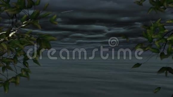 晚上环抱CGI海岸海景很好视频的预览图