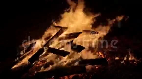 在海滩营地用木头烧火视频的预览图