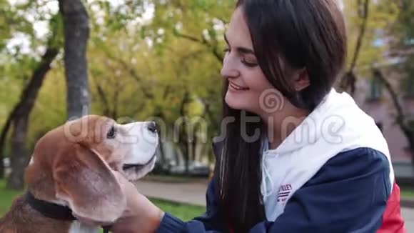 秋天公园里和一只小猎犬散步的女孩视频的预览图