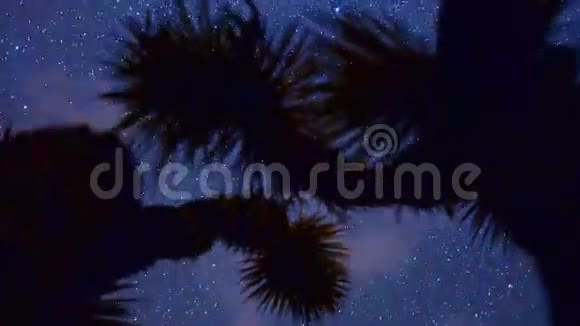 约书亚树的多莉潘在夜晚逝去视频的预览图