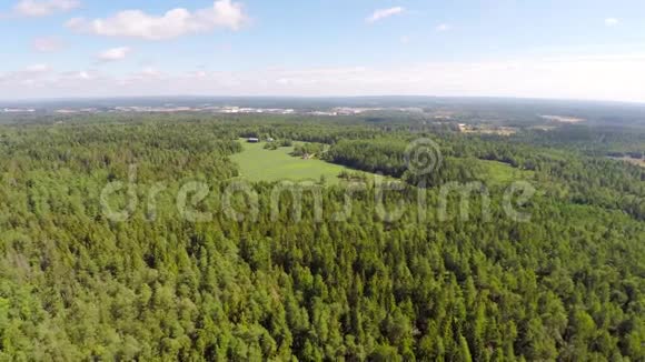 高高地飞过松树林和农场视频的预览图