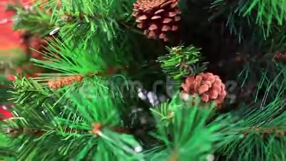 圣诞树上的云杉锥视频的预览图