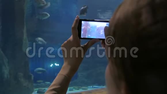 女人在海洋馆拍照视频的预览图