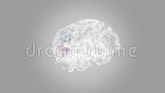 神经元系统回路的白脑视频的预览图