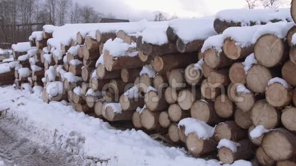 冬天被雪覆盖着的树木视频的预览图
