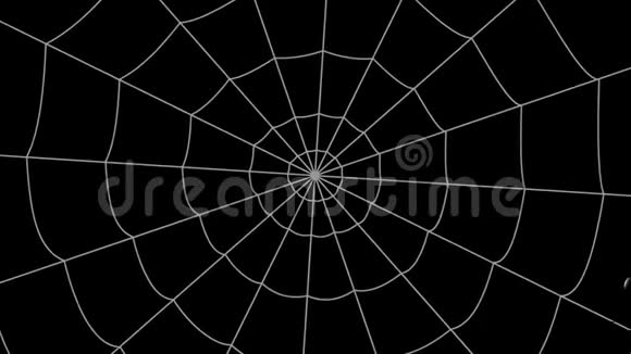 黑色背景上的同心蜘蛛网蜘蛛爬向中心视频的预览图