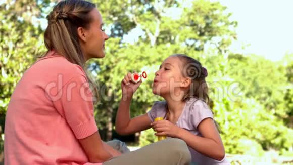 小女孩在公园里对着她快乐的妈妈吹泡泡视频的预览图