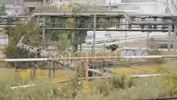乌鸦在工厂的背景下飞翔视频的预览图