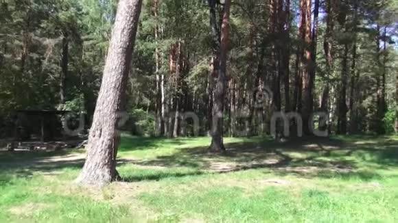 在博格丹诺夫斯基湖上休息视频的预览图