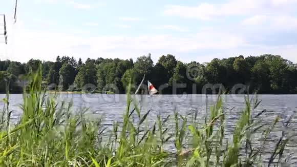 在池塘或湖上进行复古风帆冲浪旧学校运动动作视频的预览图