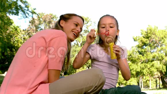 小女孩和她快乐的妈妈在公园里吹泡泡视频的预览图