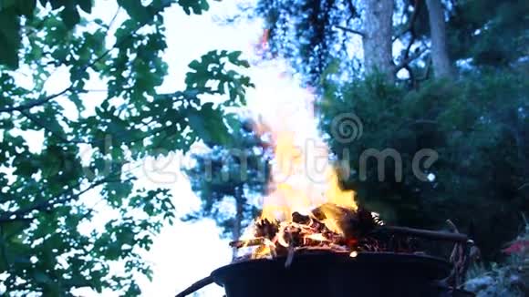篝火烧木头放在靠山视频的预览图