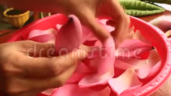 水碗里的荷花花瓣视频的预览图