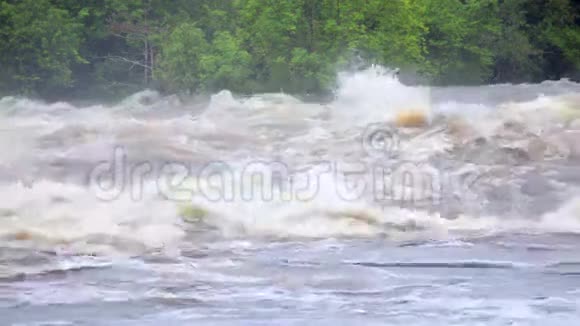 非洲赤道热带雨后河水的强劲流动视频的预览图