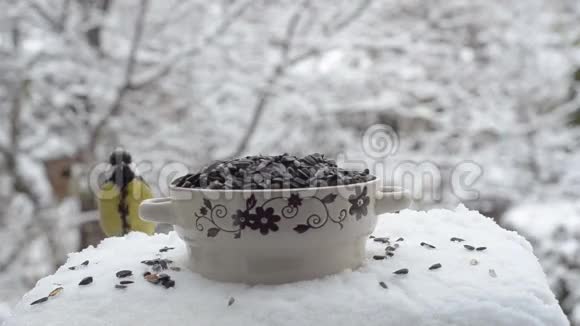 冬天鸟在食槽里吃种子视频的预览图