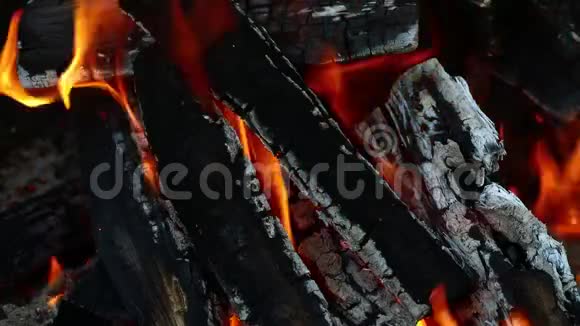 篝火壁炉中燃烧的柴火火焰尖视频的预览图
