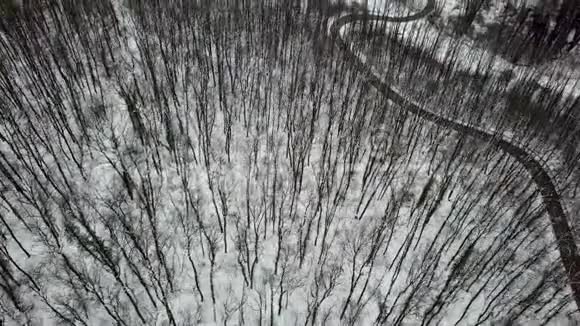 冬季森林空中飞行无人机足迹雪冬森林空中视频的预览图