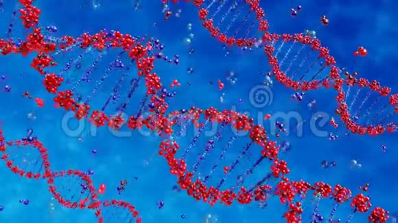 被有害化学物质破坏的DNA视频的预览图