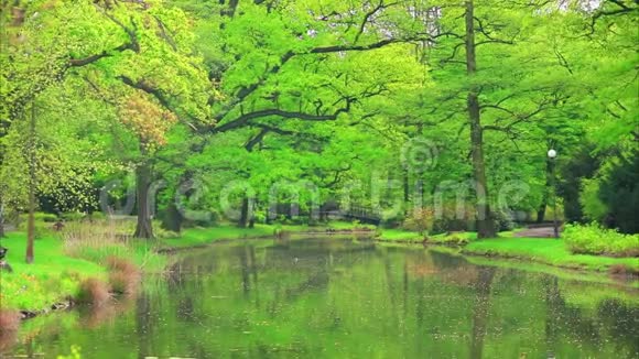 美丽的日本花园和池塘视频的预览图