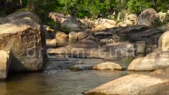 丛林山热带森林里的洛基河溪流干净的水在丛林森林的岩石河中流动野野野视频的预览图