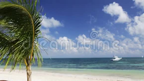 热带海滩有棕榈树和水上船视频的预览图