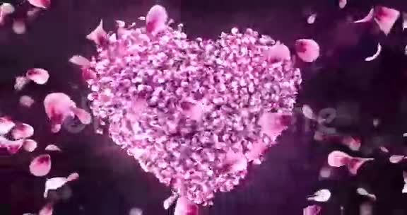 旋转粉红玫瑰樱花花瓣心形背景循环4k视频的预览图