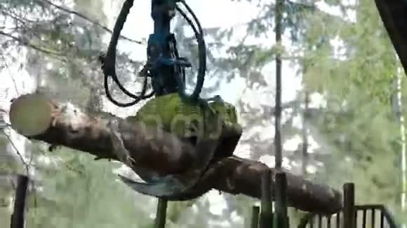 费勒邦彻在森林里装载树干视频的预览图