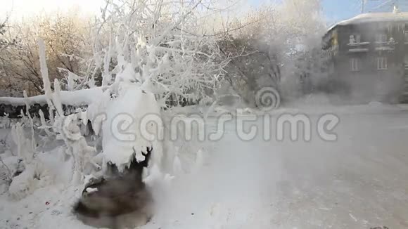 西伯利亚城市的冰霜覆盖的树木新西伯利亚视频的预览图