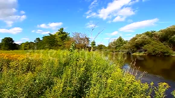基什沃基河和啁啾鸟视频的预览图