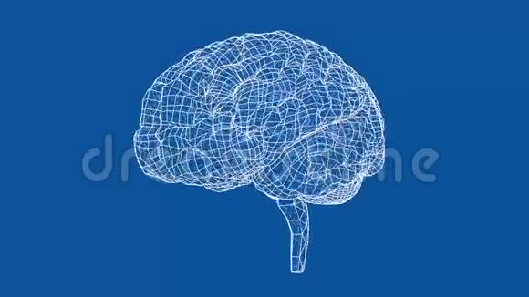 人脑概念蓝图风格视频的预览图