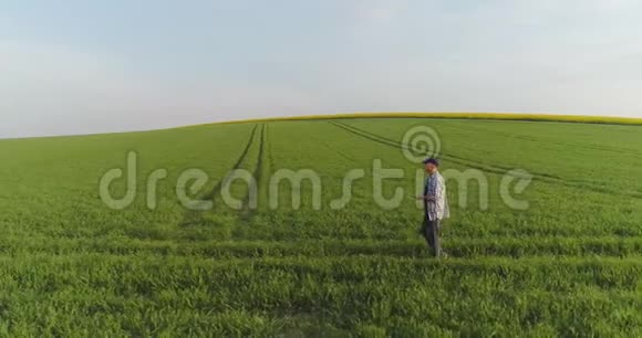 农业男性农民在使用数字平板电脑时在农田上行走视频的预览图