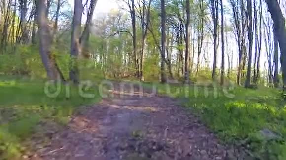 高清1080稳定相机在森林里飞大角度视频的预览图