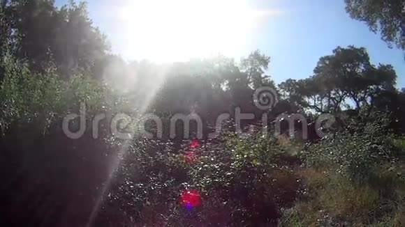 背光的太阳水滴视频的预览图