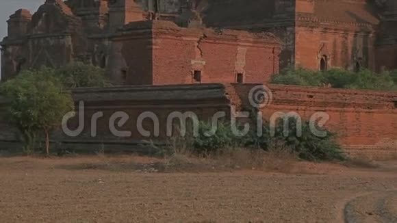 达玛扬义寺视频的预览图