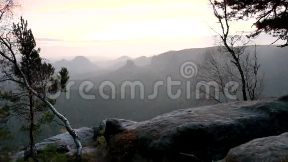 在黎明时分透过树枝看到深深的雾谷多雾背景下砂岩山峰增多视频的预览图