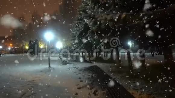 在第一场雪期间在城市公园散步这是一个美丽的夜晚城市景观视频的预览图