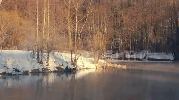 冬天森林里的河流冬天的河流冬天森林里的薄雾河森林树木视频的预览图
