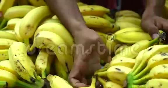在巴西超市挑选香蕉的黑手视频的预览图
