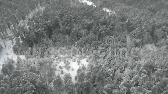 冬季松雪林无人机鸟瞰视频的预览图