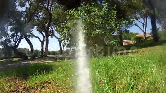 花园灌溉洒水草坪拍摄1视频的预览图