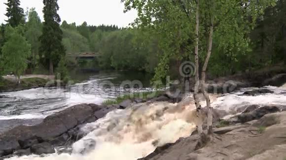 山区河流在林区流动视频的预览图