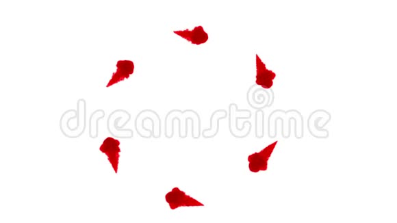 红墨水溶于水的三维渲染模拟油墨注入用Luma哑光进行VFX效果白色圆形红色视频的预览图